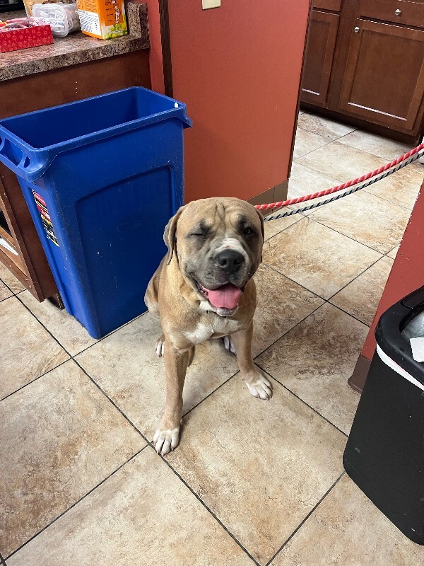 image0 2026 01 09T155421.264