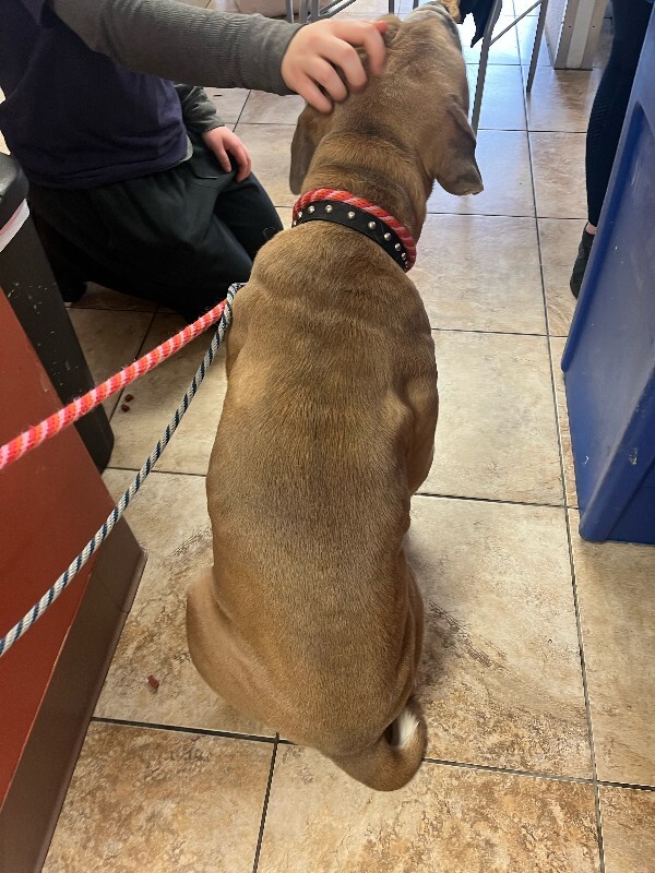 View Haggar the Dog Photo #3