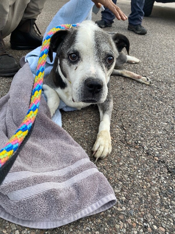 Learn More About Audi IMG 5006