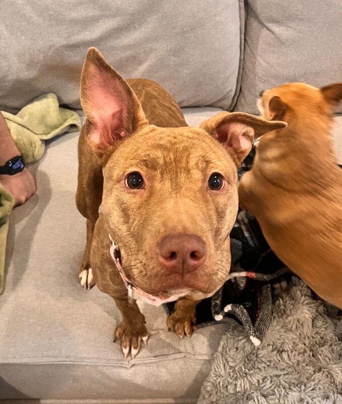 Learn More About Butter Gnocchi IMG 3521