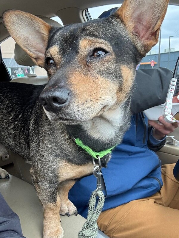 616795831 864208673250423 6365471415885067486 n