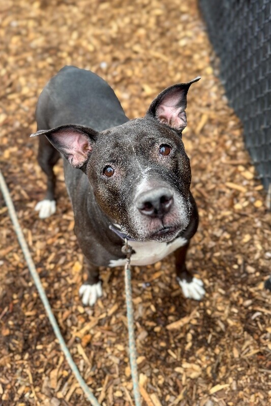 Learn More About Mars IMG 8647