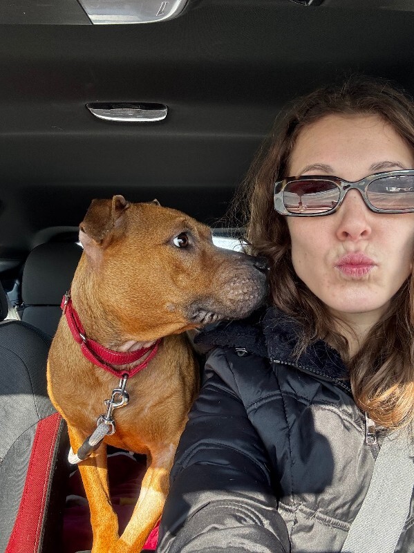 View Fern the Dog Photo #2