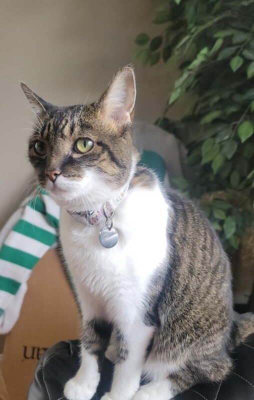 Screenshot 20260110 101456 Chrome