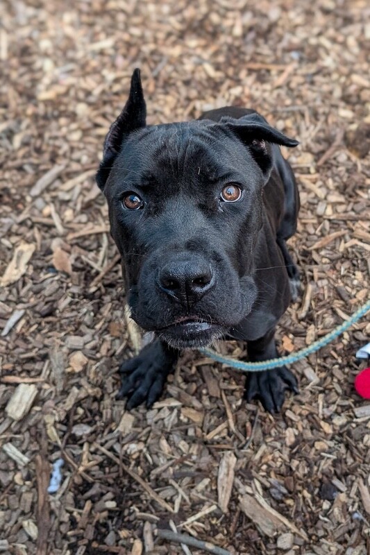 PXL 20260116 211348906.MP