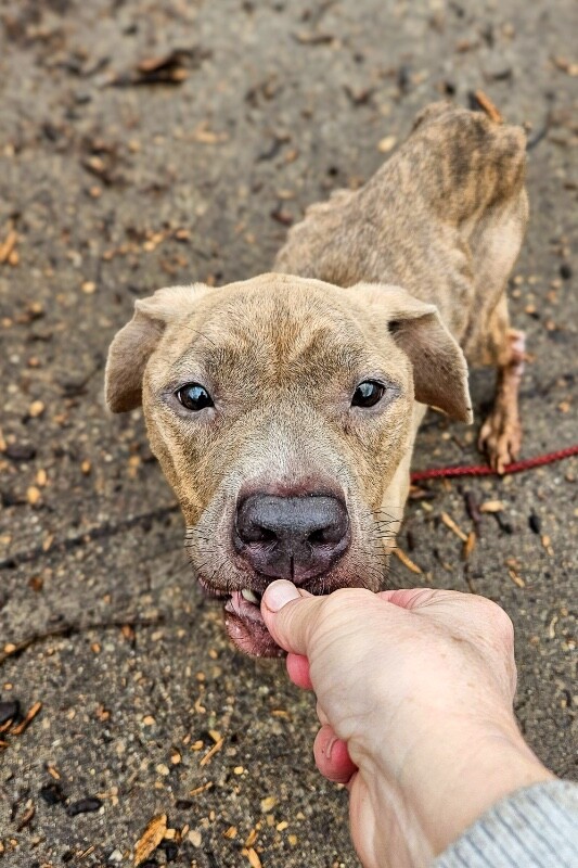 Learn More About Pink Sky 615134800 10164384717429560 3645109435273866377 n