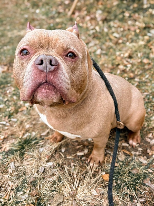 622762853 10130357456695355 1738832078340994649 n 2