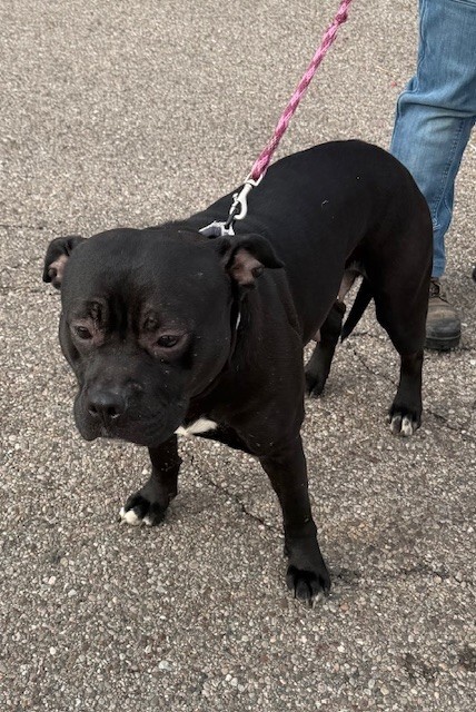 Learn More About Aida IMG 0302