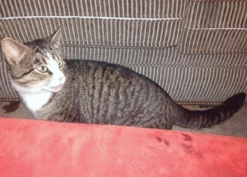 IMG 20251225 175324 0473 1