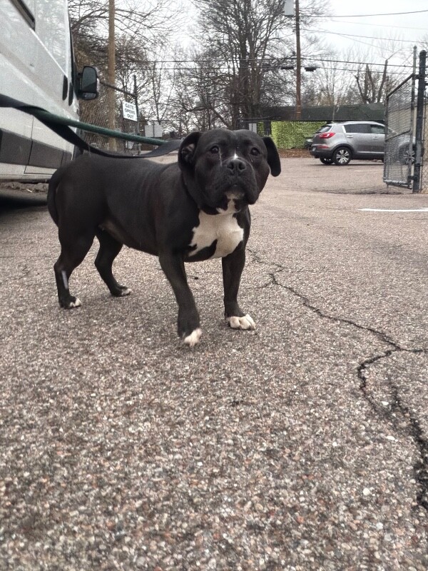 Learn More About Katie IMG 0353