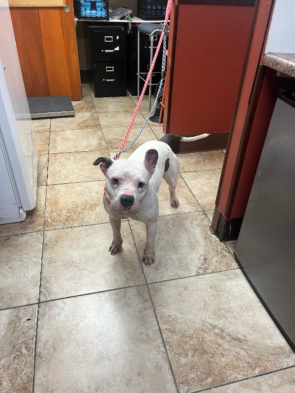 image0 2026 01 14T160135.669