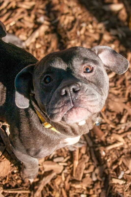 Learn More About Jilly Girl IMGP6604