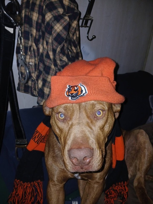 FB IMG 1768391976703