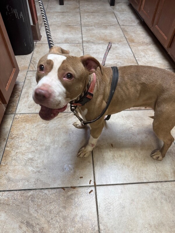 Learn More About Miss girl IMG 1315