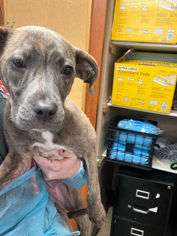 Learn More About Flirt image3 2026 01 15T144238.634