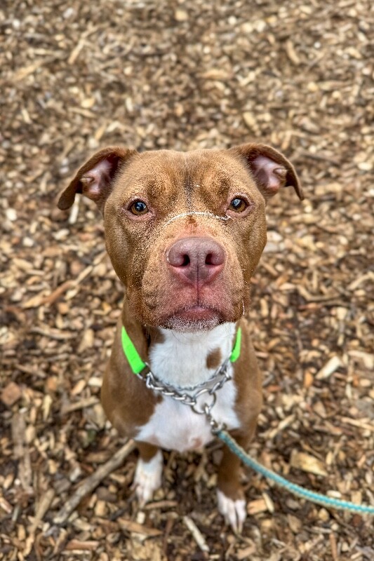 Learn More About Cinnamon IMG 8632