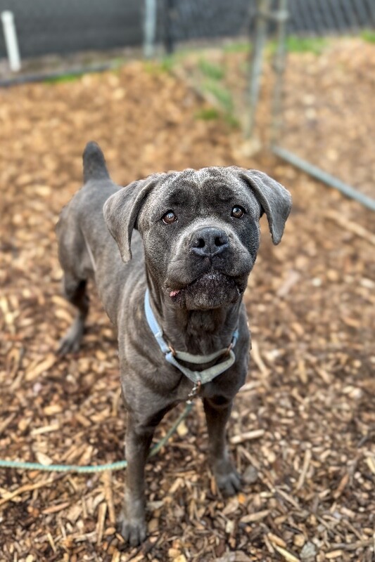 Learn More About Yasmine IMG 8624