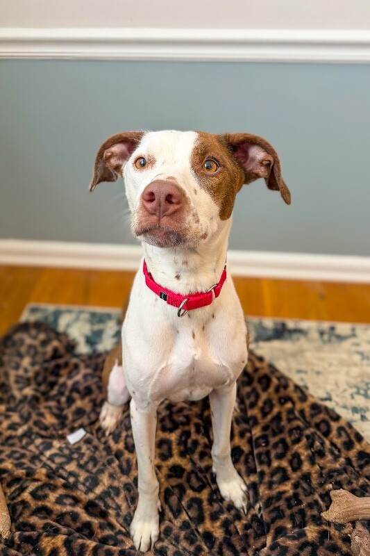 Learn More About Mrs. Lovett 0 1 5