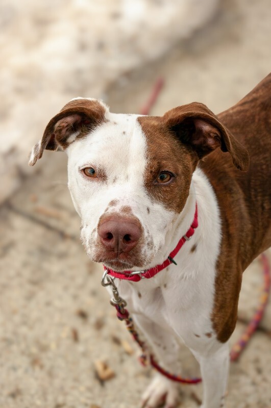 IMGP7657 Enhanced NR 2