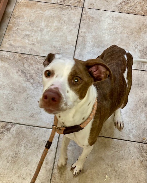 Learn More About Mrs. Lovett IMG 2037