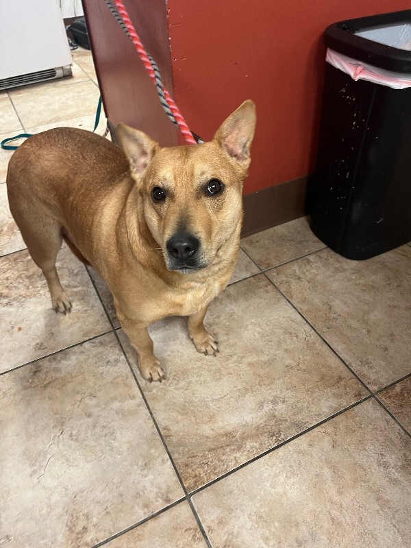 Learn More About Le Chunk image1 2026 01 16T171325.609