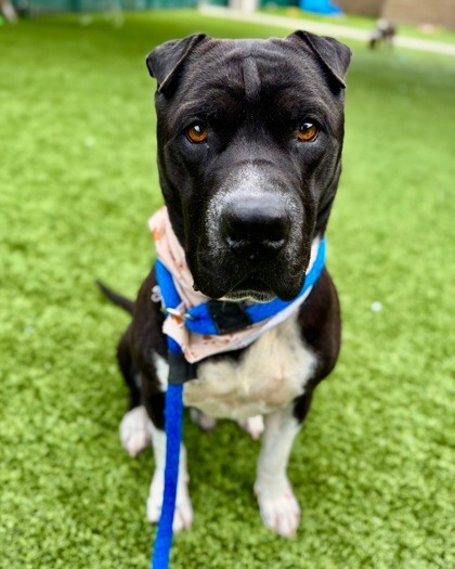 31f77319 64c6 4c53 89a8 903c427b84fd