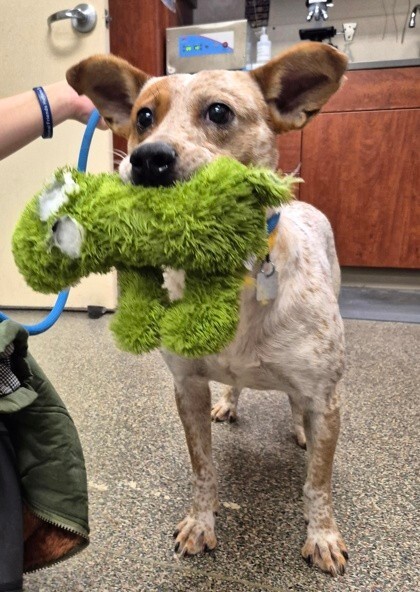 78a5a07b 7e10 47e7 97e9 864670501135 (1)