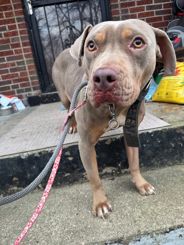 Learn More About Athena IMG 1305