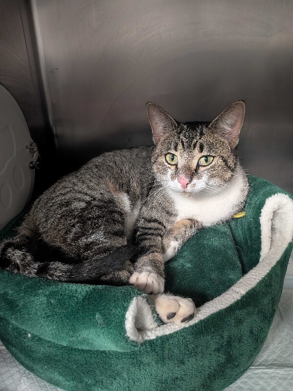 PXL 20260117 223818340