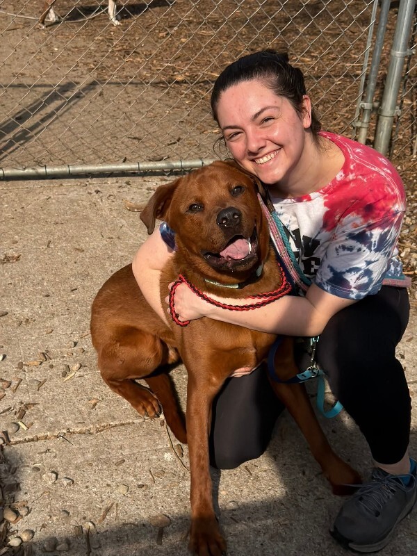 View Magic Dan the Dog Photo #4