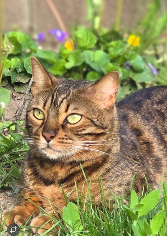 Screenshot 20260116 213944 Gallery