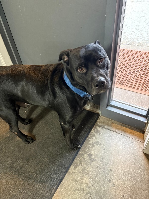 Learn More About Chase IMG 4627