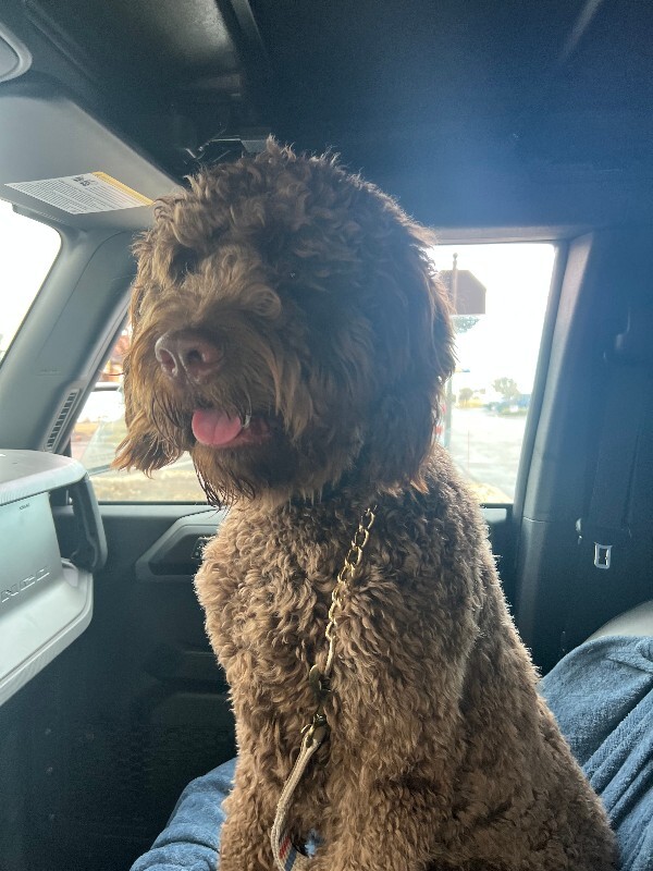 76304662509 CAAD870B 1FD9 4D7A AFE3 223D1E660058