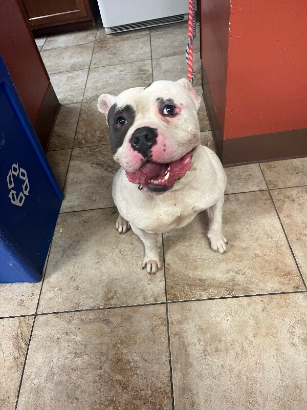 Learn More About Rodeo image0 2026 01 18T173934.257