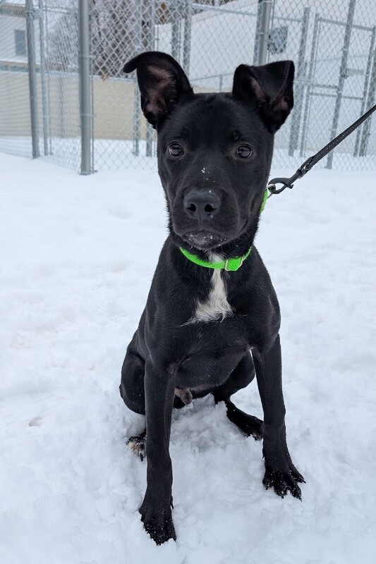 PXL 20260206 205523397.MP