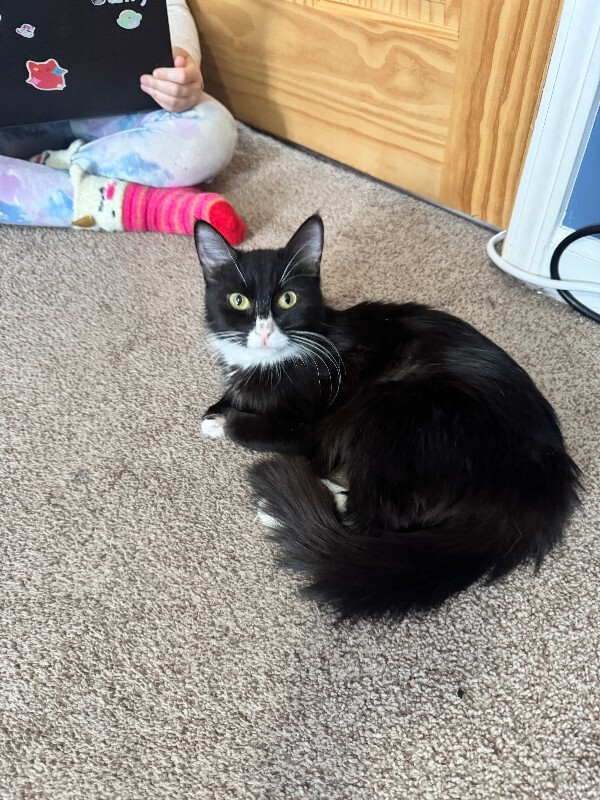 IMG 8865 Amanda Jaeger