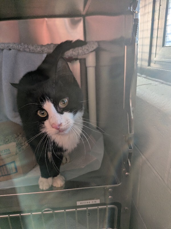 PXL 20260119 213423104