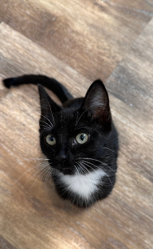 IMG 4875 nina jaeger