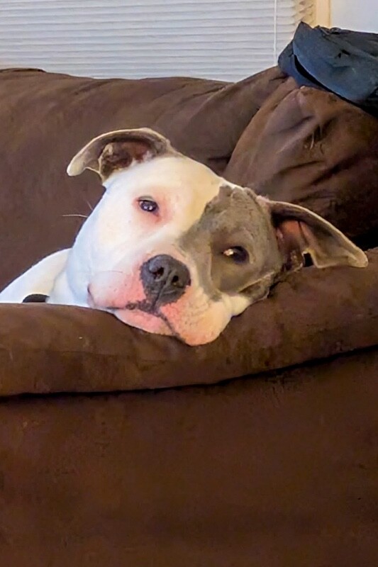 1000011654.jpg.adding