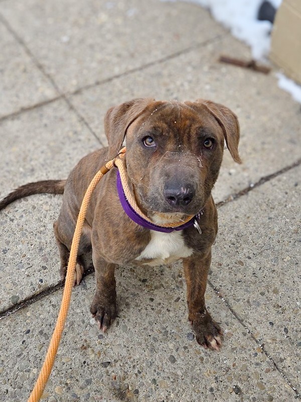 20260205 120154(0) 2