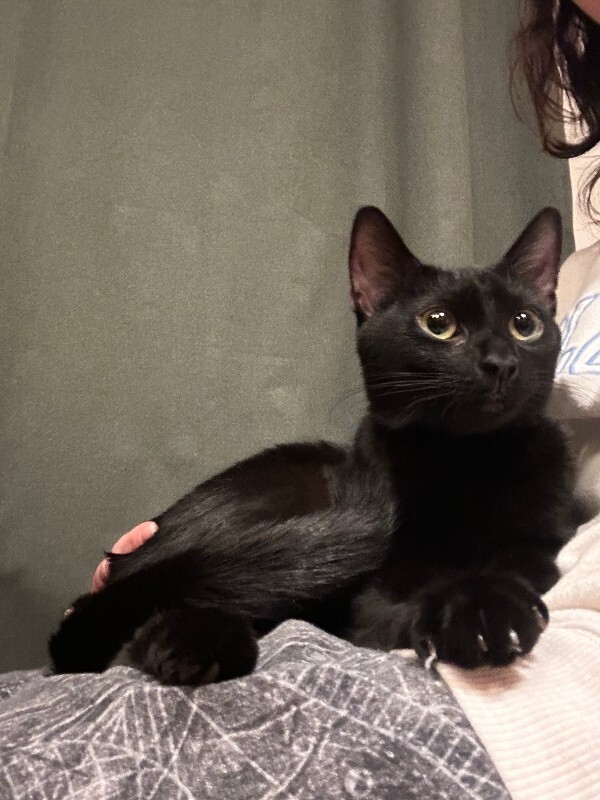 IMG 7548 lindsey jackson