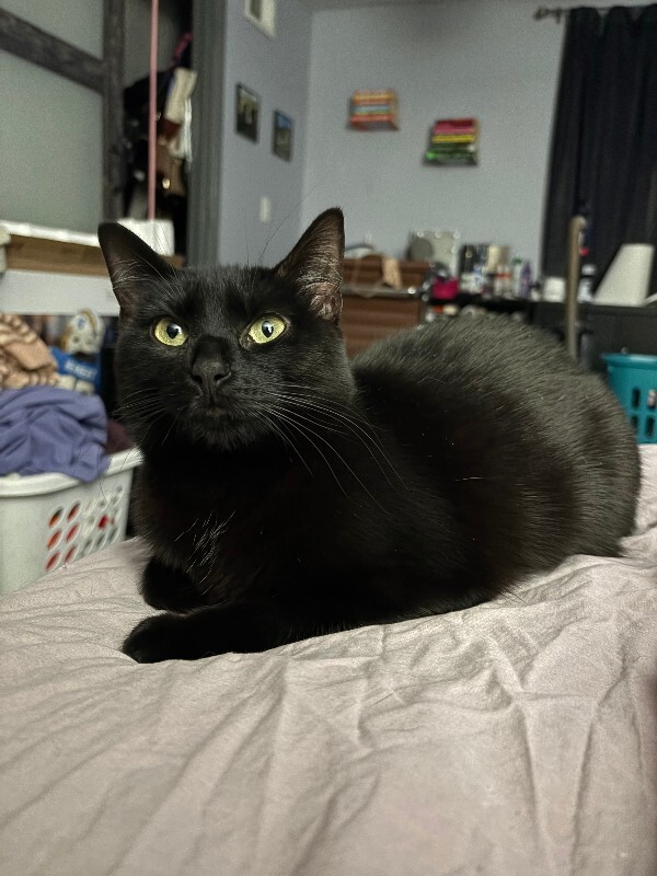 IMG 0718 Kirsten Lucas