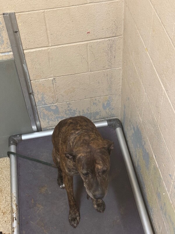 Learn More About Alaska IMG 1377