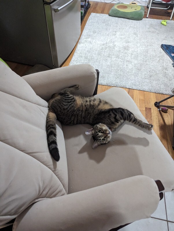 inbound6519894049718608745