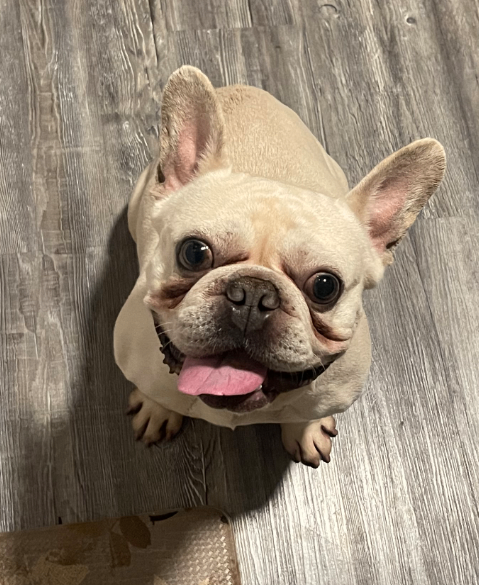 Screenshot 2026 01 23 090042