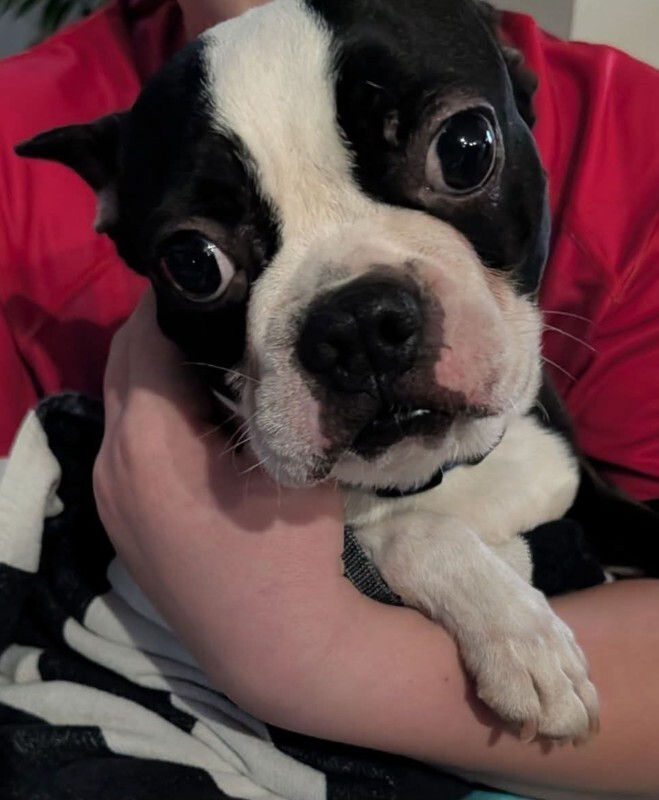 inbound6915075757461281715