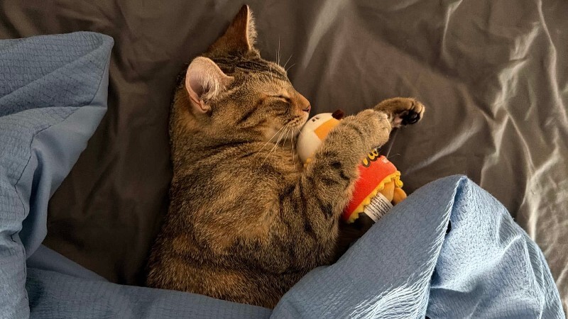 1F6A9DAB DAB4 4DAC A01D 78D81F7CD5B9 Mohit Iyengar