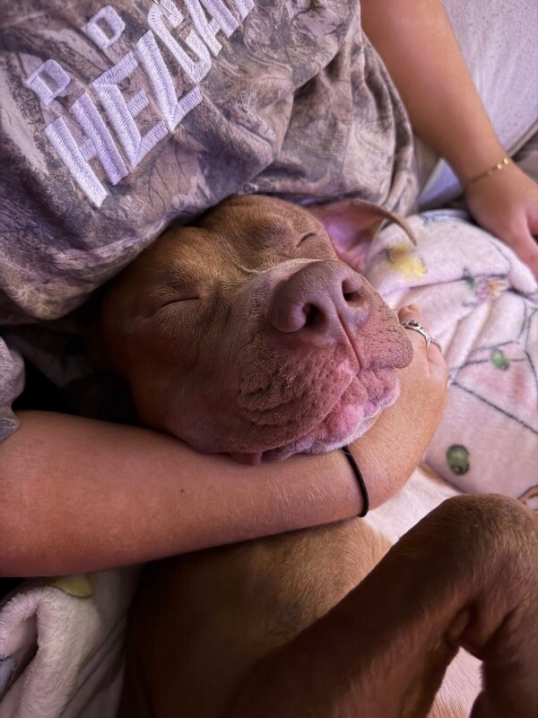 View Rec the Dog Photo #3