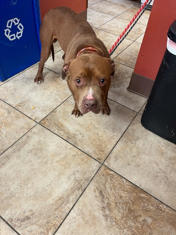 image0 2026 01 23T153451.599