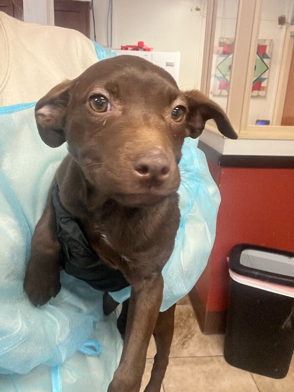 Learn More About Enchantress image1 2026 02 02T140635.728